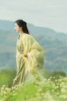 宋氏共妻高黄HHH